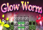  Glow Worm 