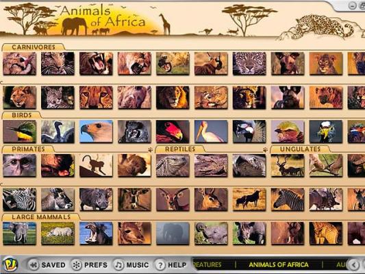 pictures of animals in africa. Animal Africa Jigsaw Wildlife