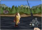 Big Mouth Bass 3D online game