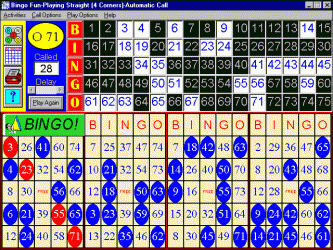  Bingo Fun 