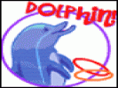 Bottle Nosed Dolphin online game