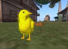  Chickens Second Life 