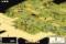 Play Civilization 3 Conquests online