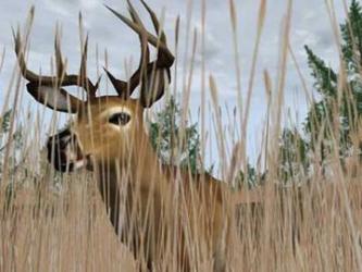  Deer Hunter 2004 