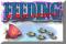 Play Feeding Frenzy online