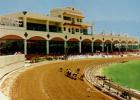  Greyhound Racing 