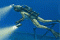 Play Hidden Expedition Titanic online