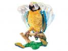  Interactive McCaw Parrot 
