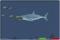 Play Mad Shark online