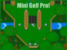  Mini-Golf Professional 