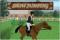Play Show Jumping online