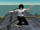 Skateboarding in Second Life online game