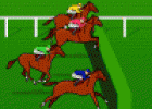  Staplechase Challenge 