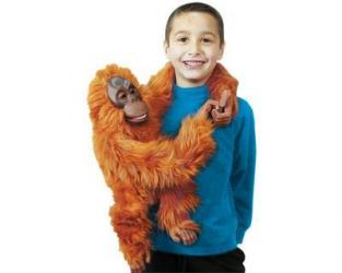  Stuffed Orangutan 
