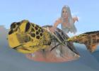 Swimming with Sea Turtle Second Life online game