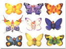  Anne Geddes Butterflies 