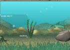 Video Safari Marine online game