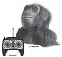 alive chimpanzee with 
remote control