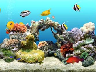  Aqua Real Virtual Aquarium 