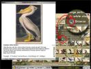 Audubon Birds of America Jigsaws online game