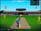 Cricket Championship 2008 online game