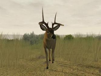 Deer Hunter The 2005 Season 