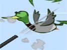 DuckNCover online game