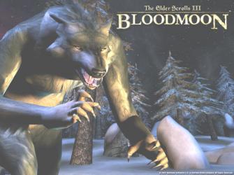  Elder Scrolls Bloodmoon 