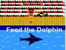  Feed the Dolphin 