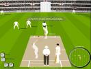 Flash Cricket 2 online game
