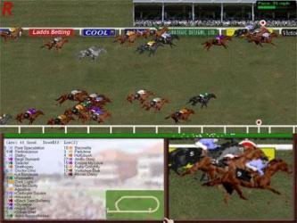  Horse Racing Party 