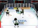 Sedonka Hockey online game