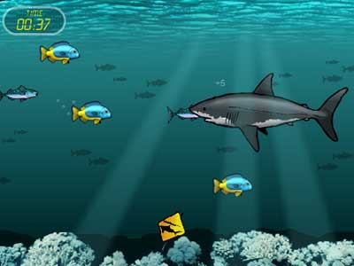 Sharks Play Free Online Shark Games. Sharks Game Downloads