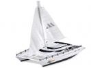  Twin Motor Radio Controlled Catamaran 